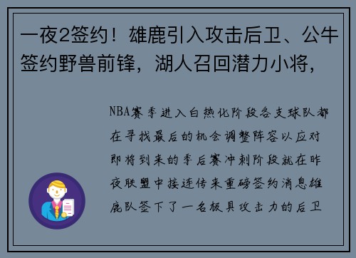 一夜2签约！雄鹿引入攻击后卫、公牛签约野兽前锋，湖人召回潜力小将，三队再现转折