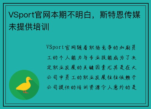 VSport官网本期不明白，斯特恩传媒未提供培训