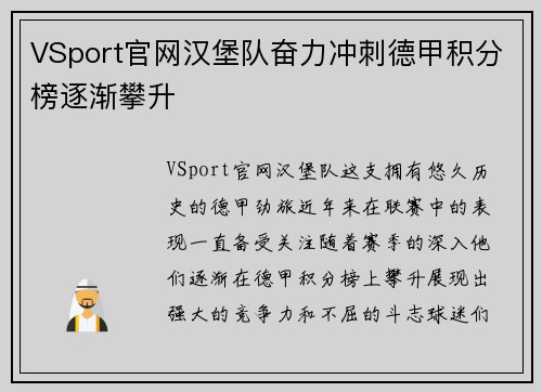 VSport官网汉堡队奋力冲刺德甲积分榜逐渐攀升