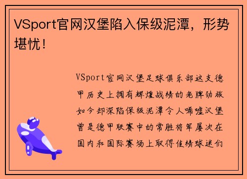VSport官网汉堡陷入保级泥潭，形势堪忧！